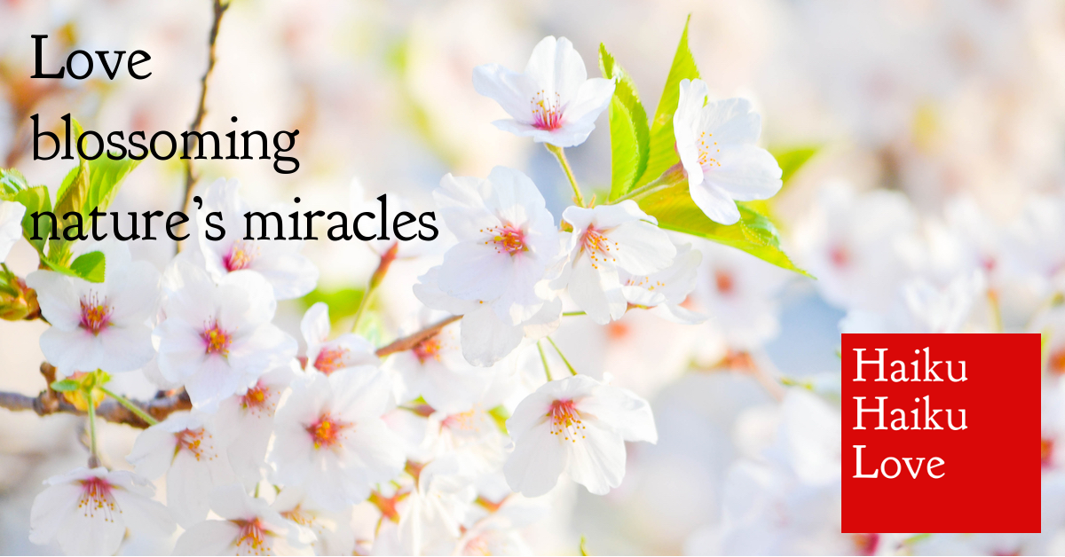 Love · Haiku Haiku Love