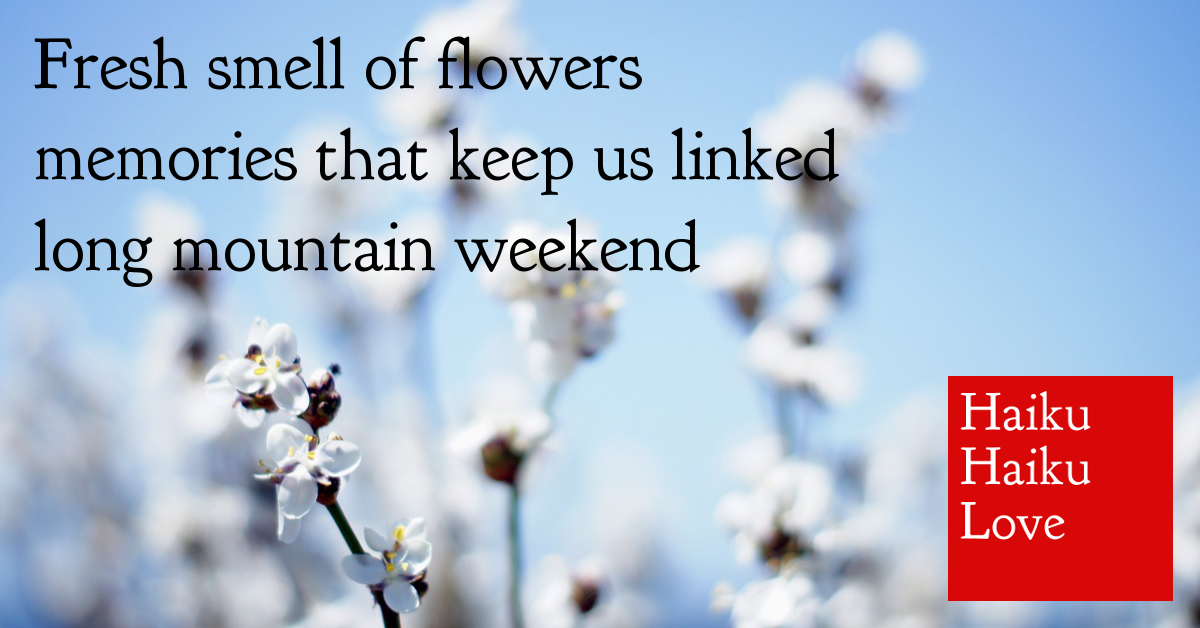 haiku poems about flowers