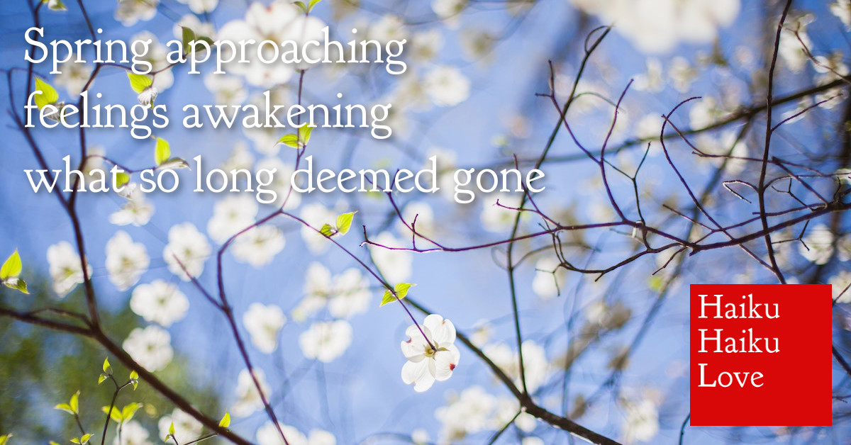 Spring Approaching Haiku Haiku Love